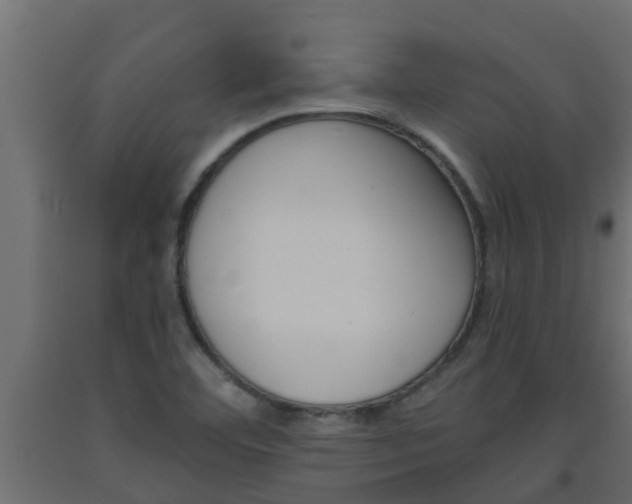 X0000093571460200710151006