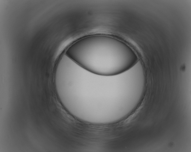 X0000093571461200710151006