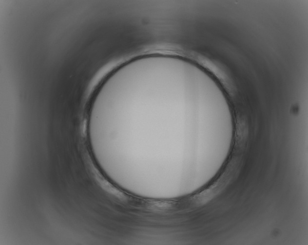 X0000093571462200710151006