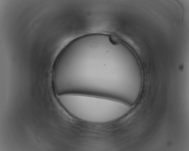 X0000093571463200710151006