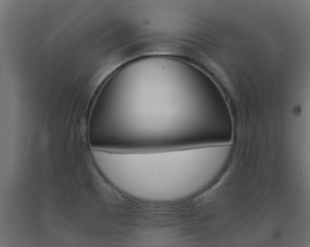 X0000093571465200710151006