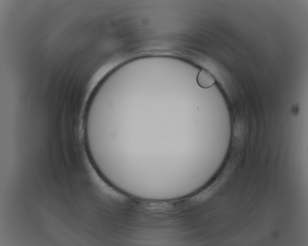 X0000093571466200710151006