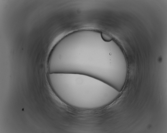 X0000093571467200710151006