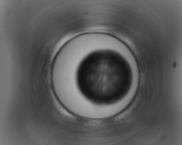 X0000093571470200710151006