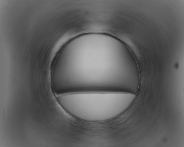X0000093571472200710151006