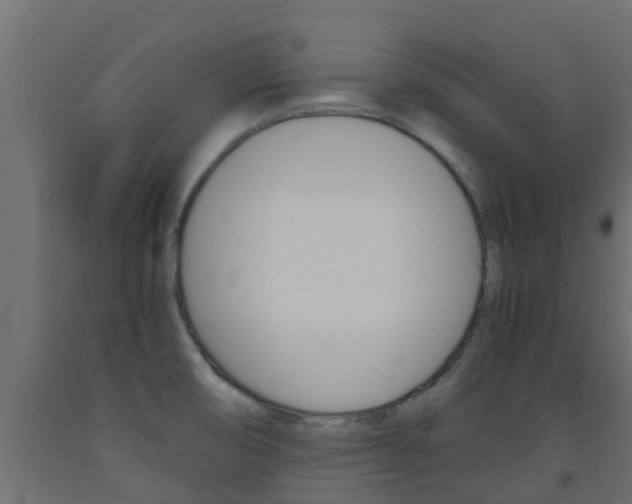 X0000093571474200710151006