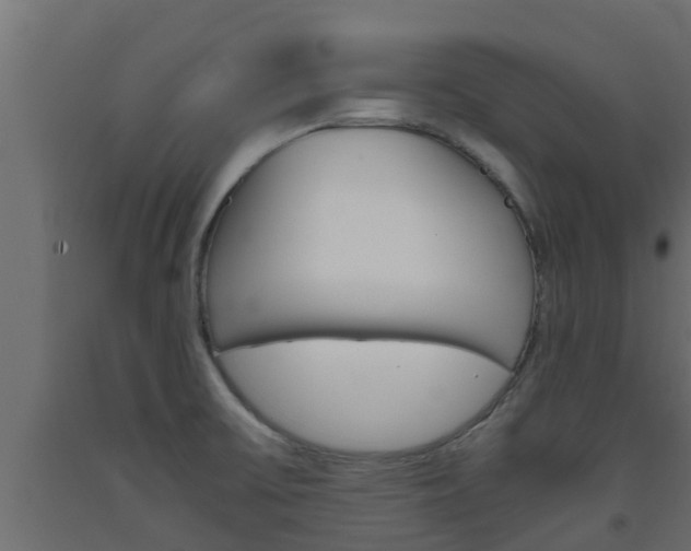 X0000093571475200710151006