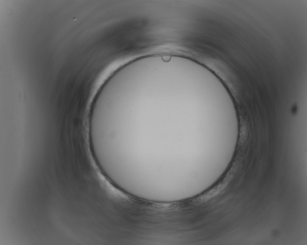 X0000093571478200710151006