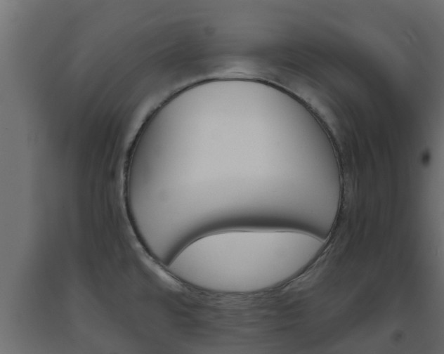 X0000093571480200710151006