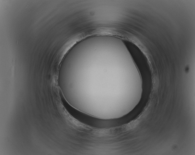 X0000093571481200710151006
