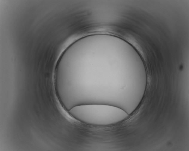 X0000093571482200710151006