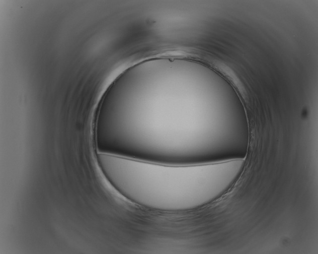 X0000093571483200710151006