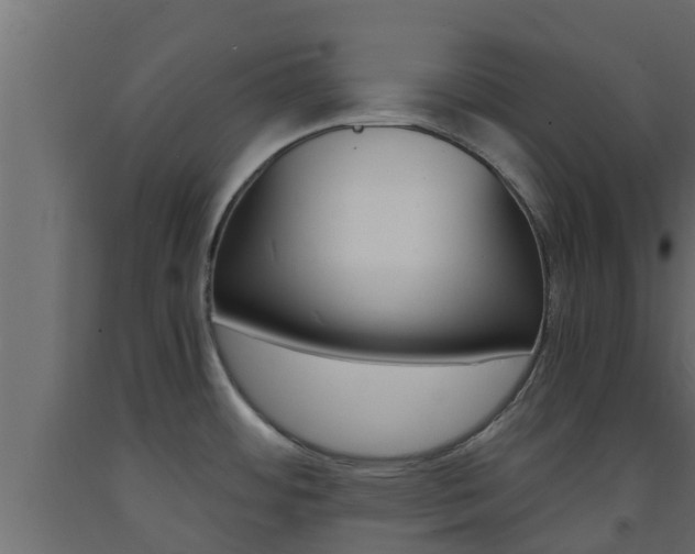 X0000093571484200710151006