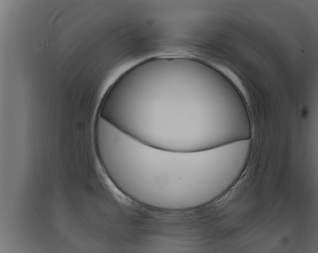 X0000093571485200710151006