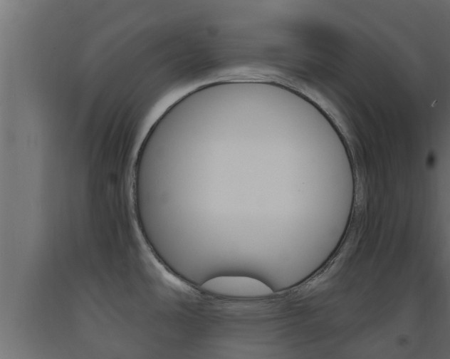 X0000093571486200710151006