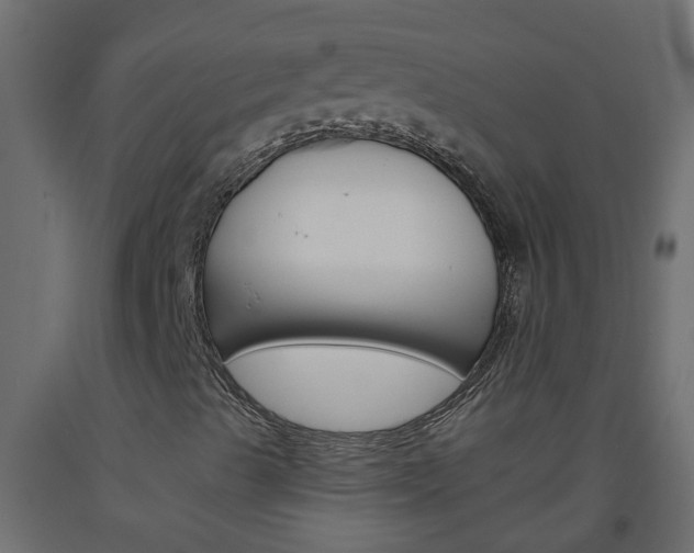 X0000093571489200710151005