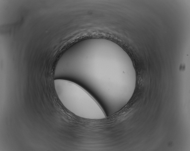 X0000093571490200710151005