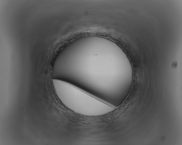 X0000093571493200710151005