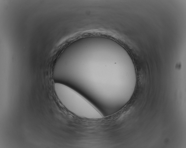X0000093571494200710151005