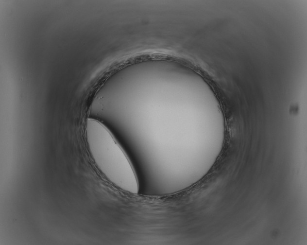 X0000093571495200710151005