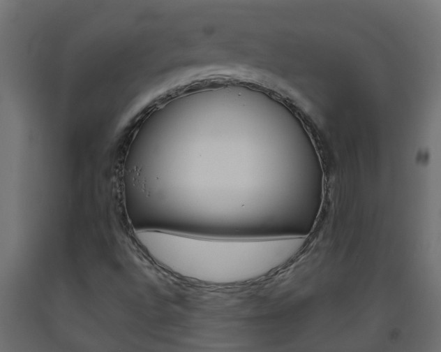 X0000093571496200710151005