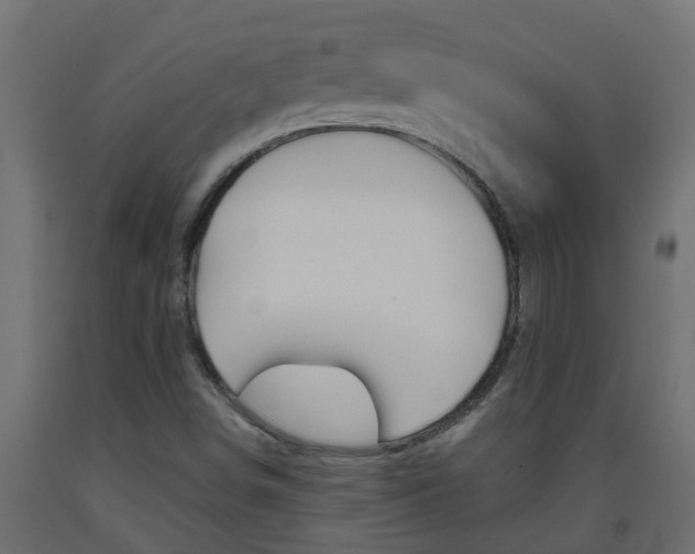 X0000093571498200710151005