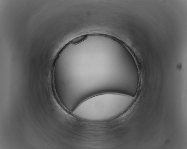 X0000093571500200710151005