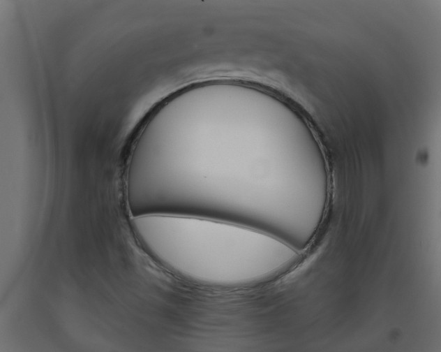 X0000093571501200710151005