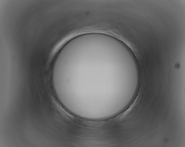 X0000093571502200710151005