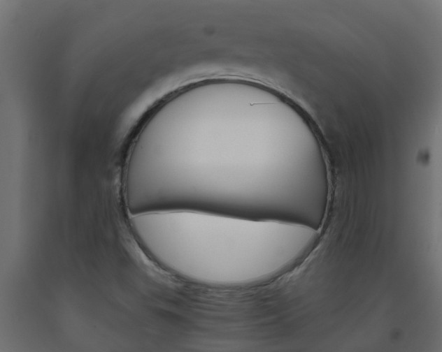 X0000093571503200710151005