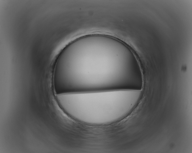 X0000093571504200710151005