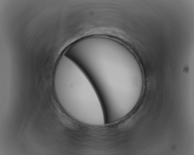 X0000093571505200710151005