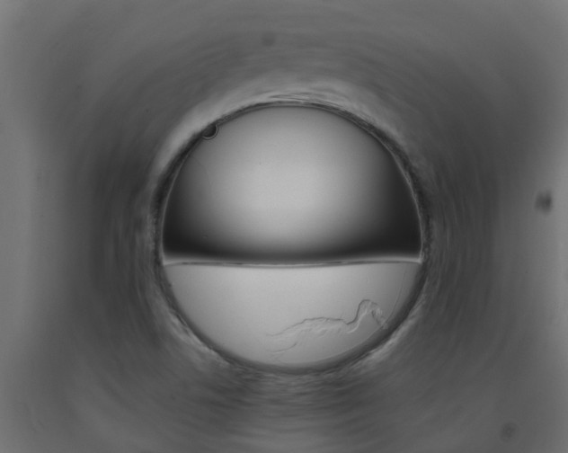 X0000093571506200710151005