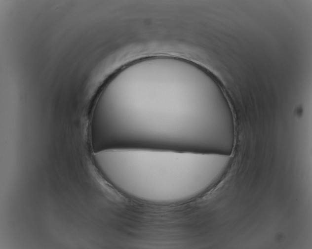X0000093571507200710151005