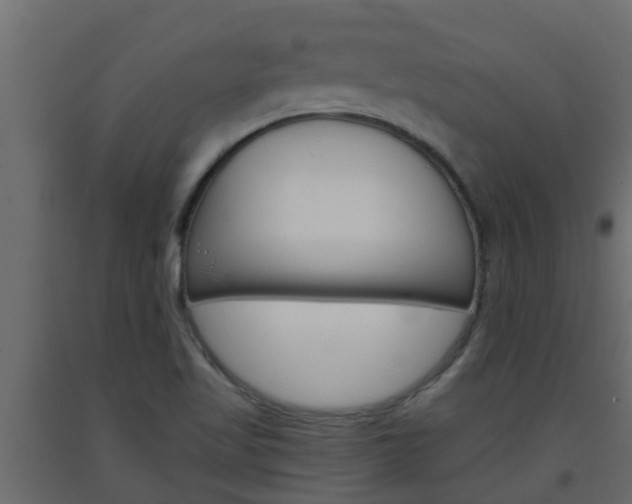 X0000093571509200710151005
