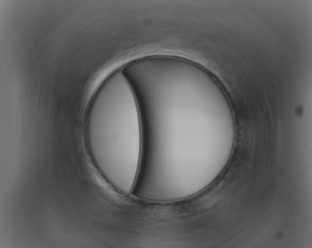 X0000093571511200710151006