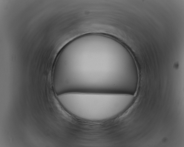 X0000093571513200710151006