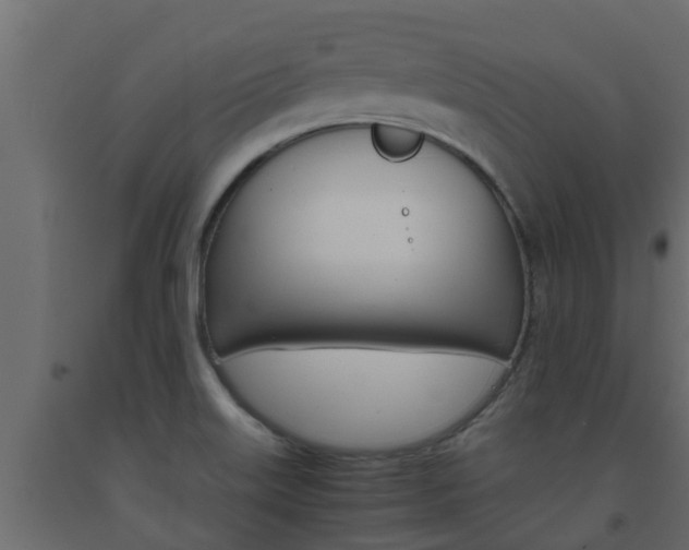 X0000093571515200710151006
