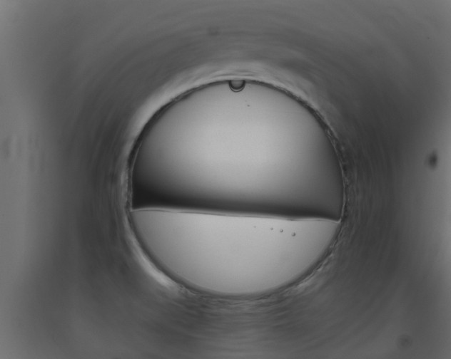 X0000093571519200710151006