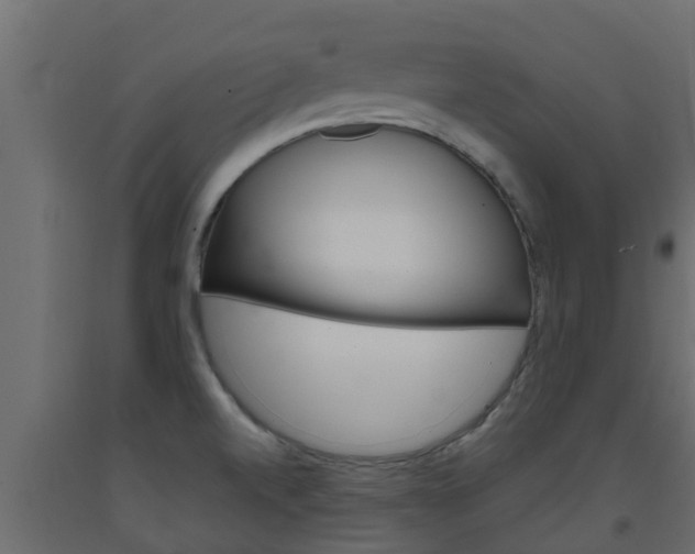 X0000093571520200710151006