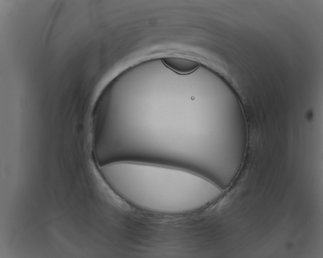 X0000093571522200710151006