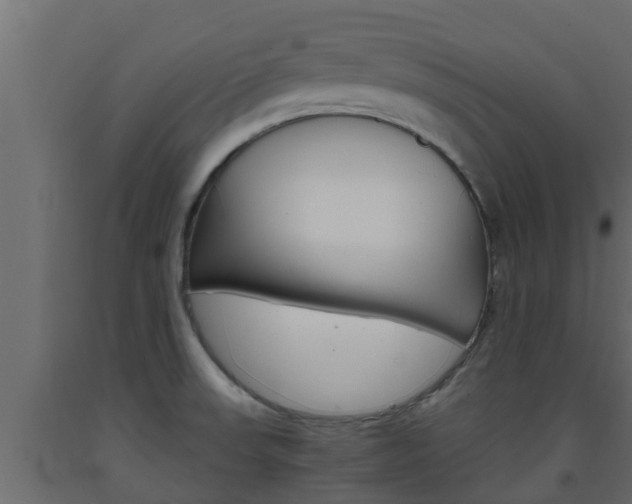 X0000093571523200710151006