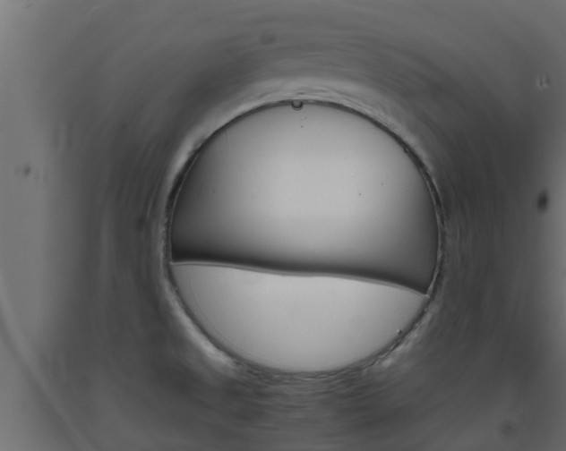 X0000093571525200710151006