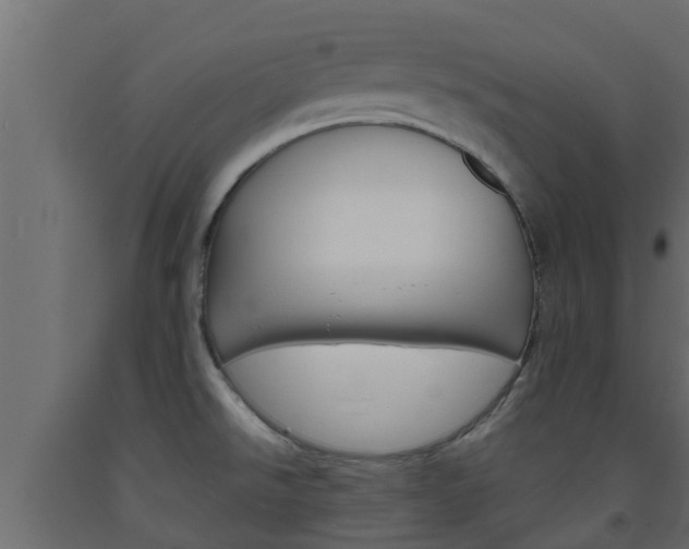 X0000093571526200710151006