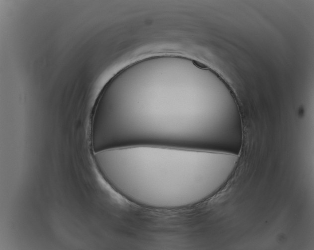 X0000093571527200710151006