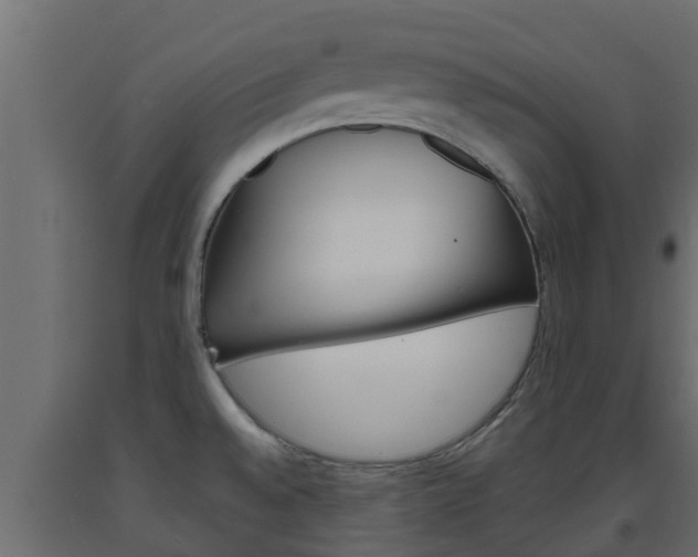 X0000093571528200710151006