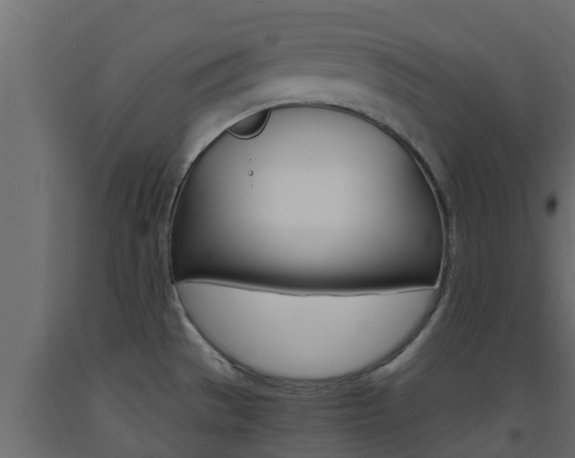X0000093571529200710151006