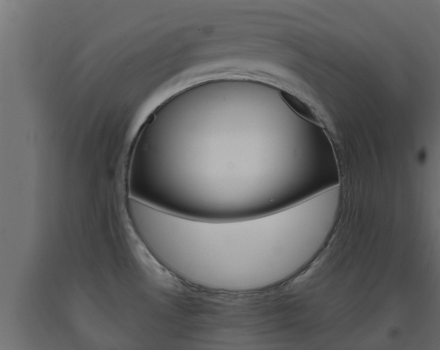 X0000093571530200710151006
