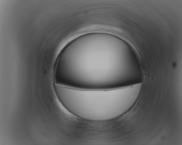 X0000093571531200710151006