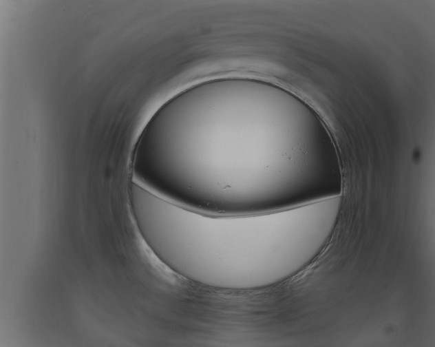 X0000093571532200710151006